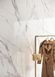 Statuario Reale StatReal фото 4