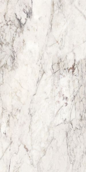 Breccia Capraia BrCap фото