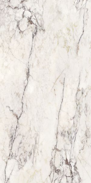 Breccia Capraia BrCap фото