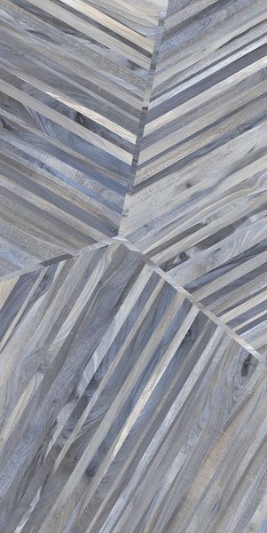 Kauri Tasman KauriTas фото